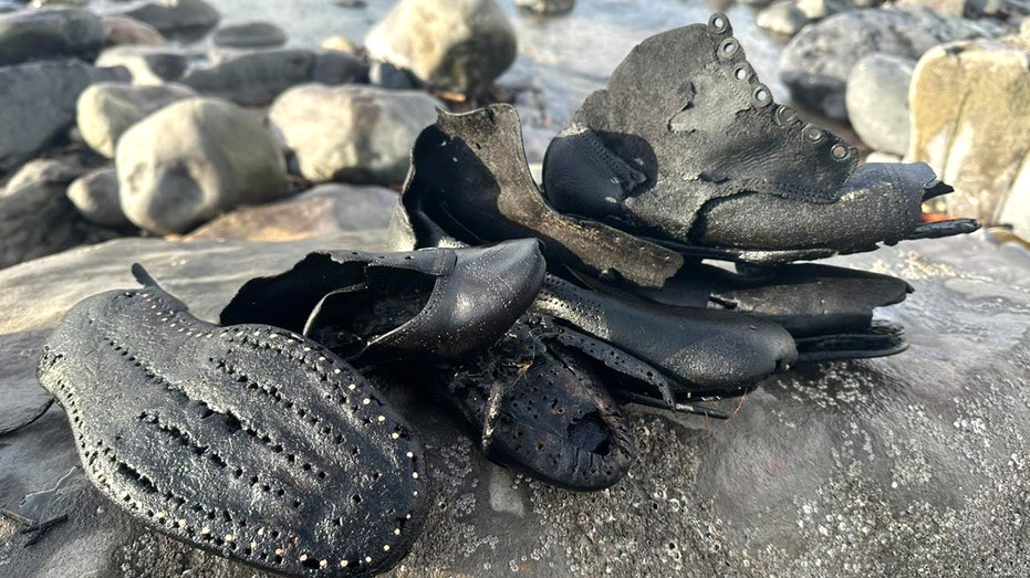 Hundreds of mysterious old shoes wash up on beach during cleanup, baffling officials Adelaide Accountant
