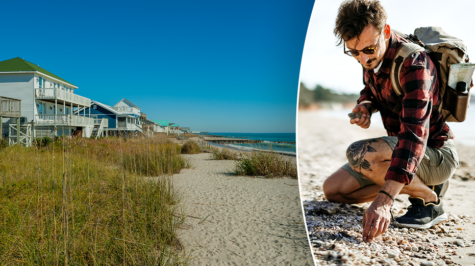 Tourists make 'historically significant' discovery while exploring South Carolina beach Adelaide Accountant
